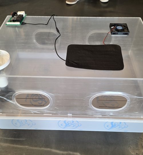 kakaotalk 20251220 155850166 05